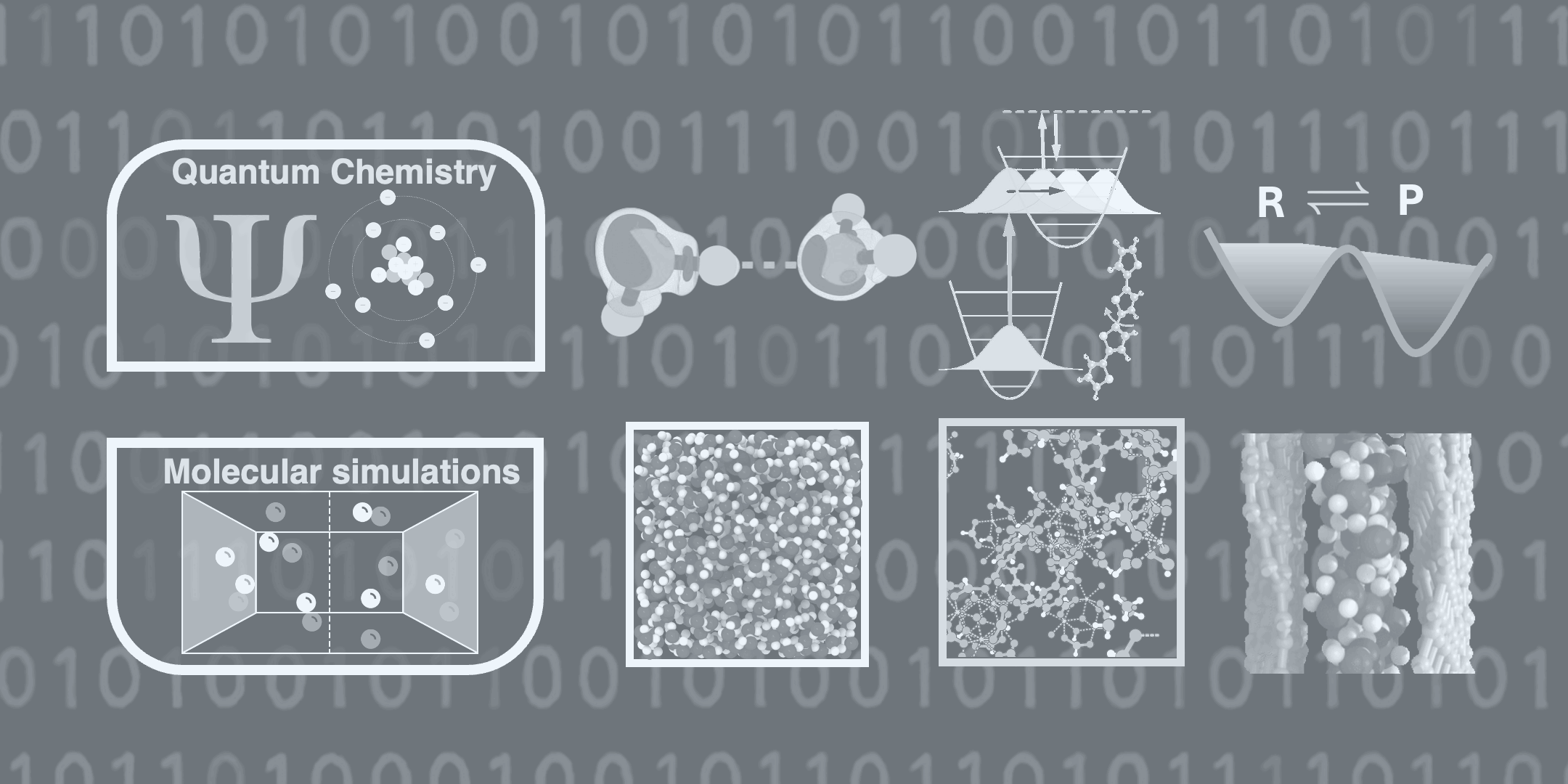 Scientific Animation
